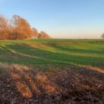 Land 2 150x150